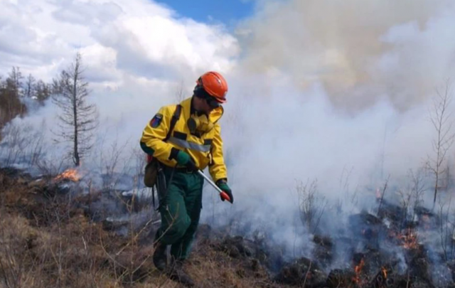В Забайкальском крае введён особый противопожарный режим на всей территории региона