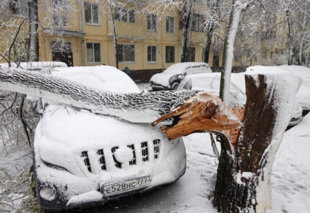 Непогода в Подмосковье: пострадали люди и повреждены десятки автомобилей