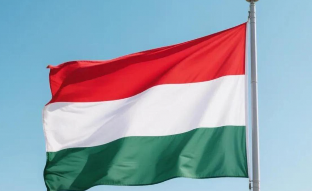 Венгрия временно прекратила прием документов на визы в трех городах России
