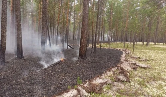 Площадь лесных пожаров в Красноярском крае сократилась почти на 100 тыс. га