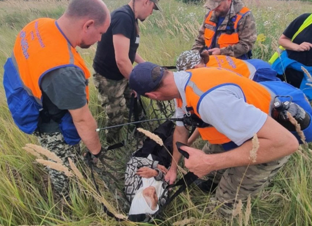 В Дзержинске пенсионерку нашли в лесной яме спустя двое суток